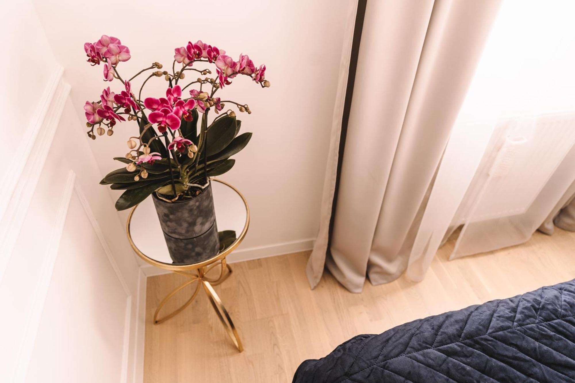Flexible Selfcheckins 66 - Zagreb - Loggia - 80M2 - New - Luxury - Garage - 2 Bedrooms Zewnętrze zdjęcie